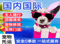无锡空运公司国际宠物托运 【国